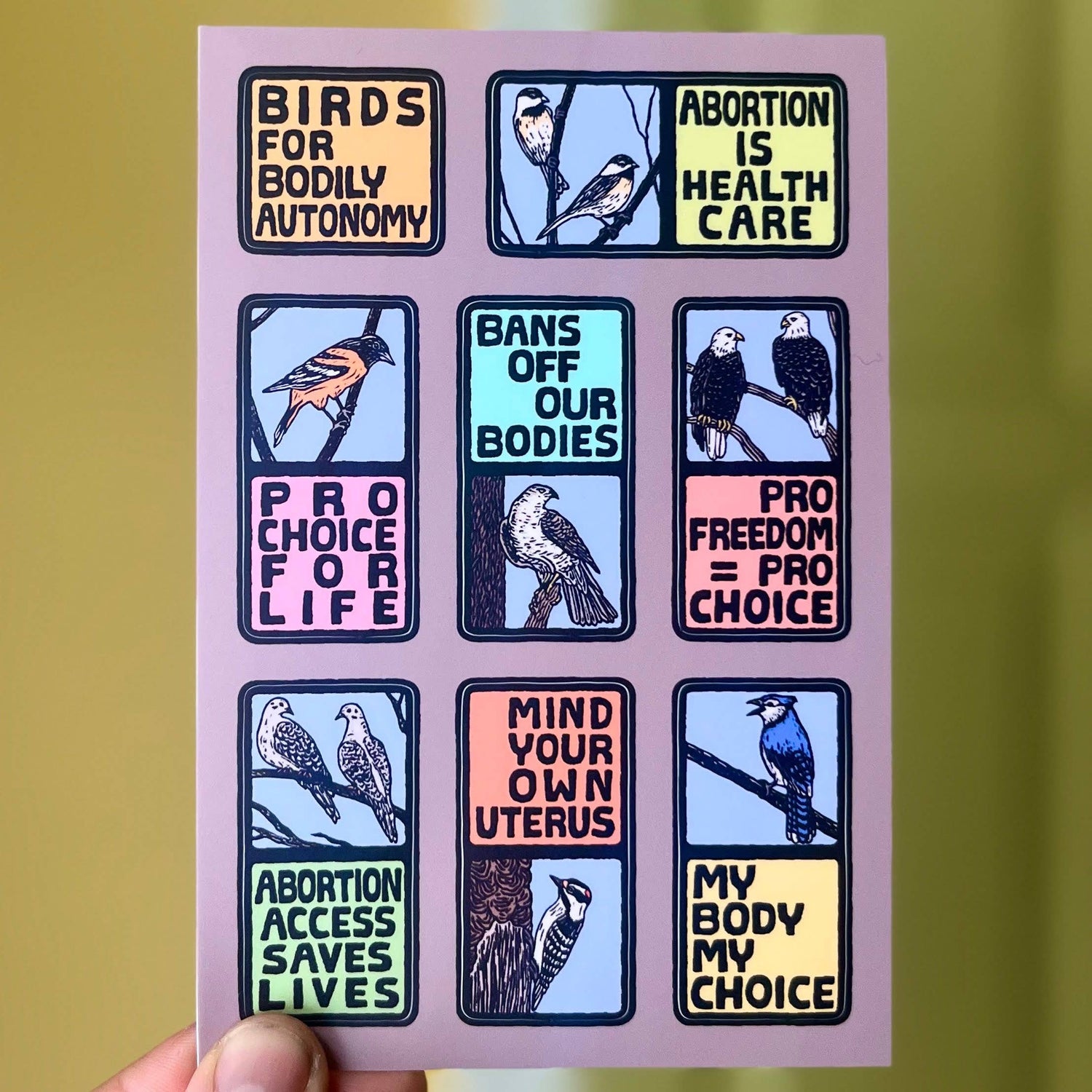 Birds for Bodily Autonomy Sticker Sheet