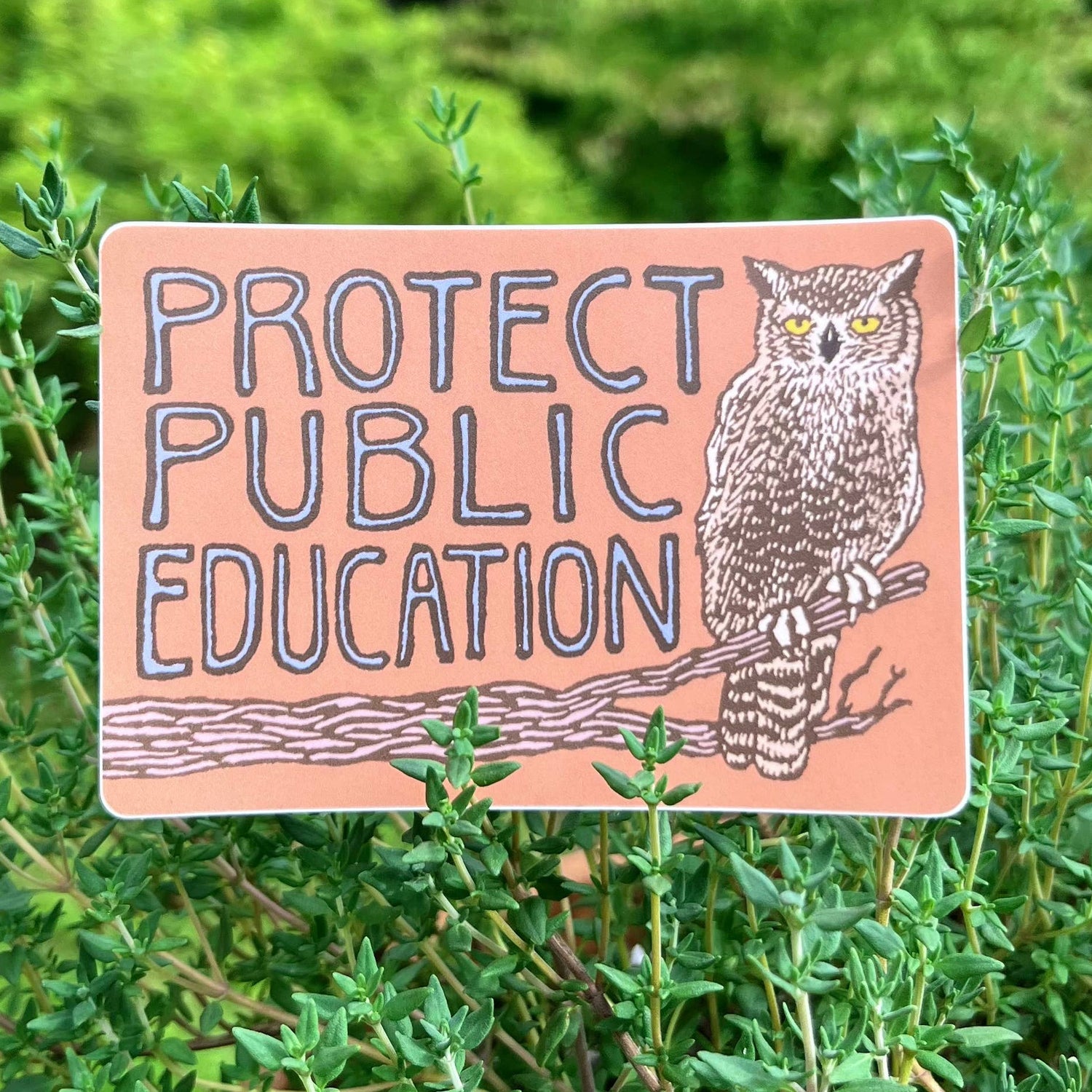 Protect Public Education Sticker