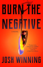 Burn the Negative cover image