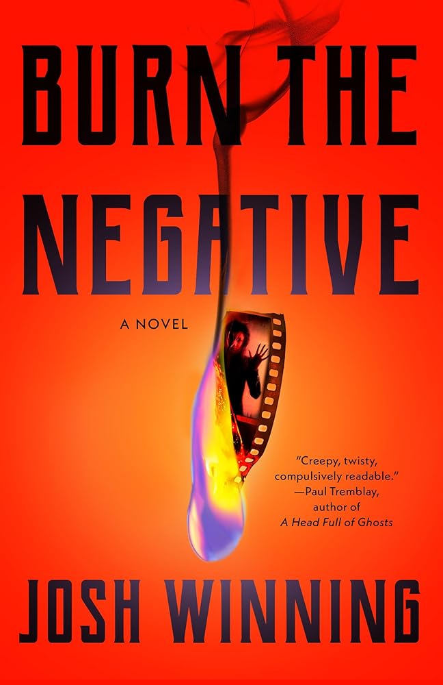 Burn the Negative cover image