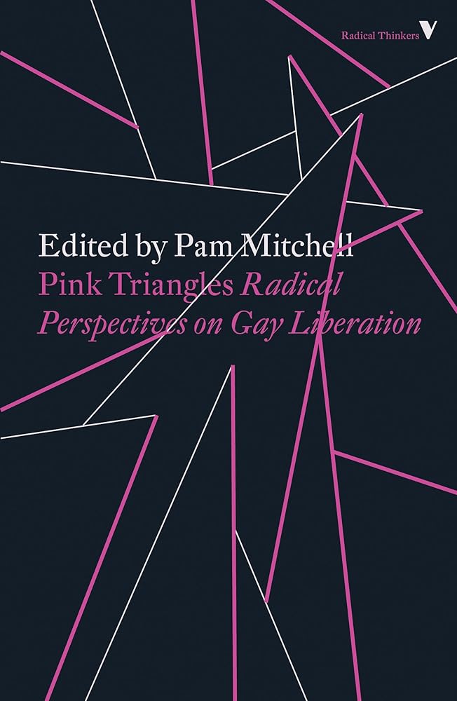 Pink Triangles: Radical Perspectives on Gay Liberation cover image