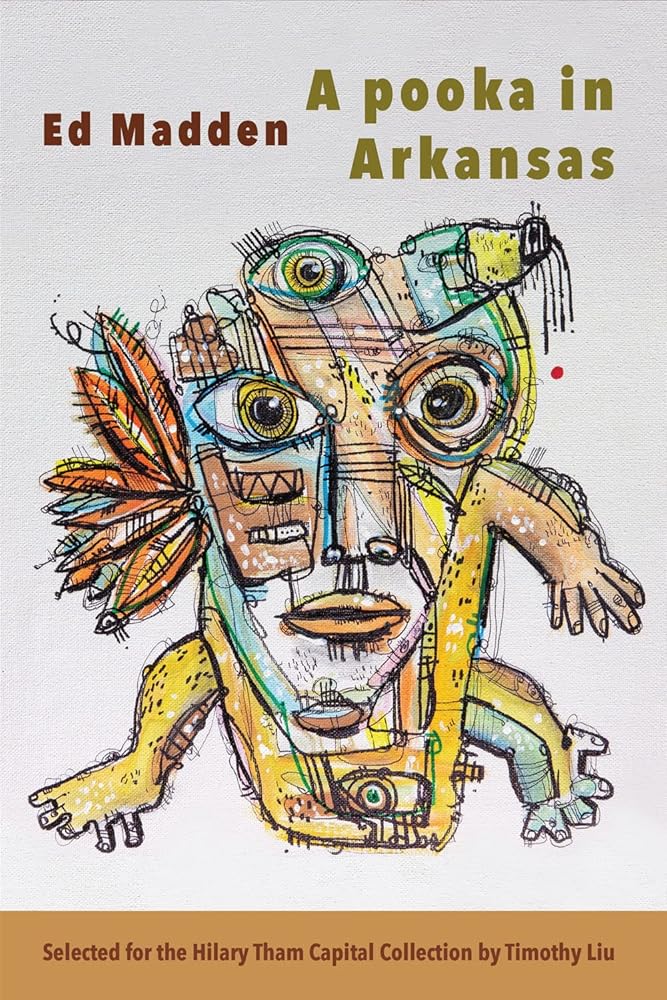 A pooka in Arkansas cover image