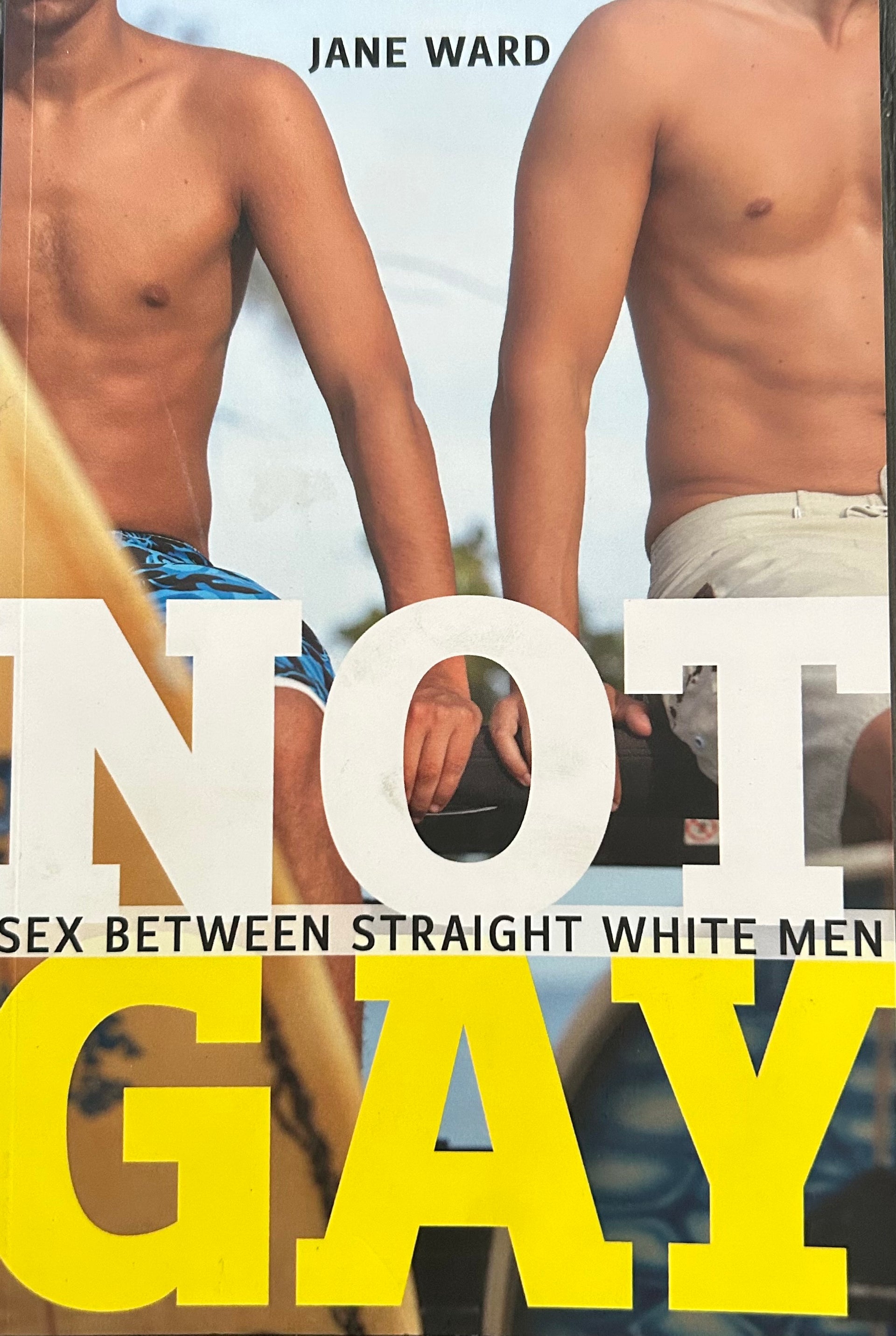 Not Gay: Sex Between White Men – Queer Haven Books