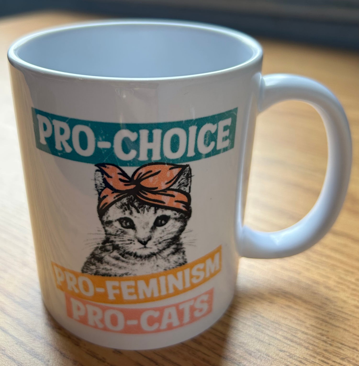 Pro-Choice, Pro-Feminism, Pro-Cats Mug