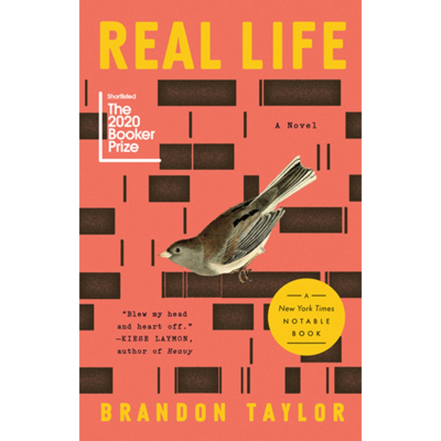 Real Life: A Novel