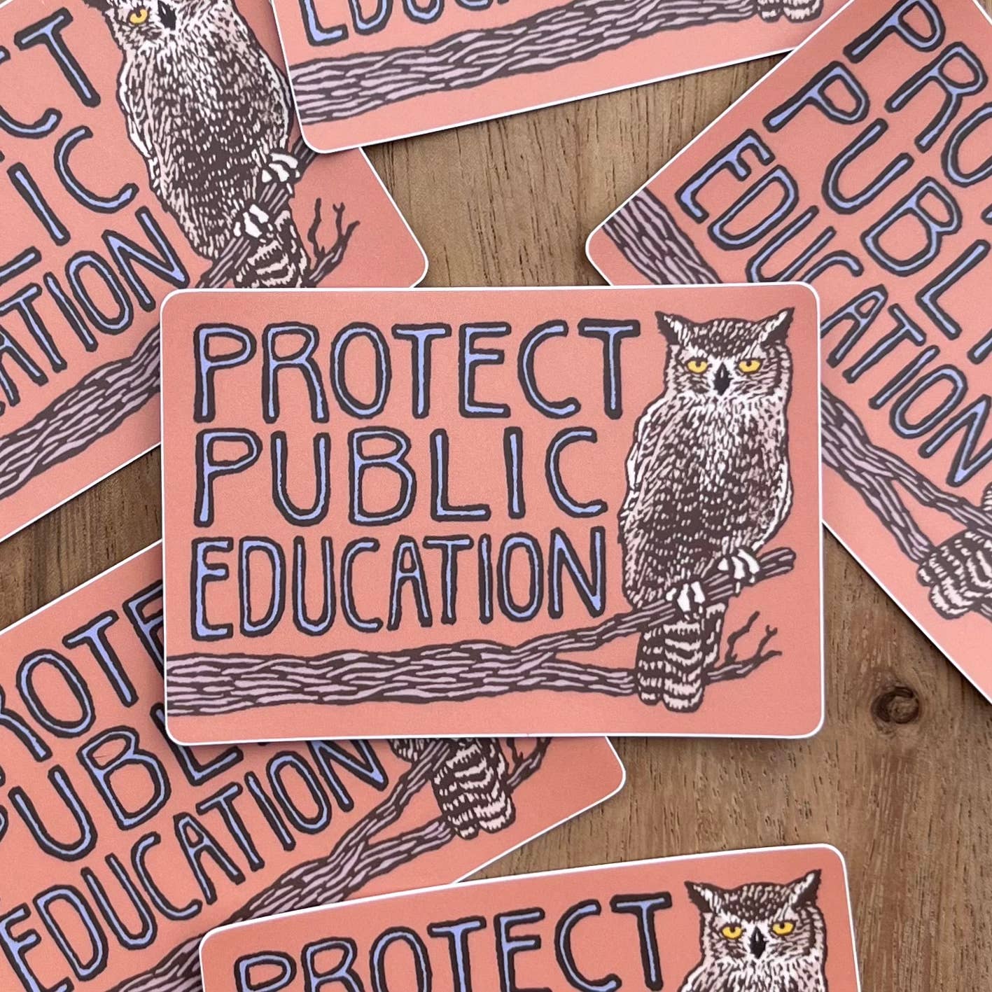 Protect Public Education Sticker