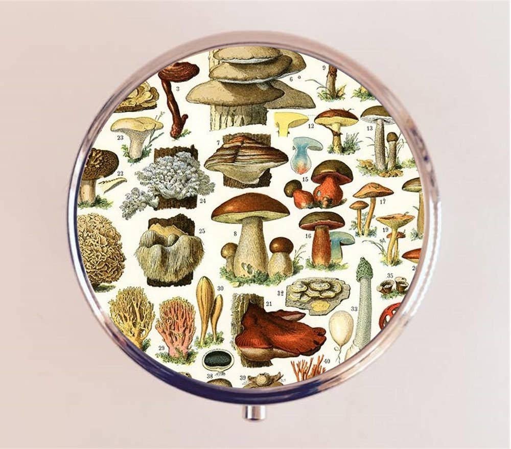 Victorian Mushroom Pill Box