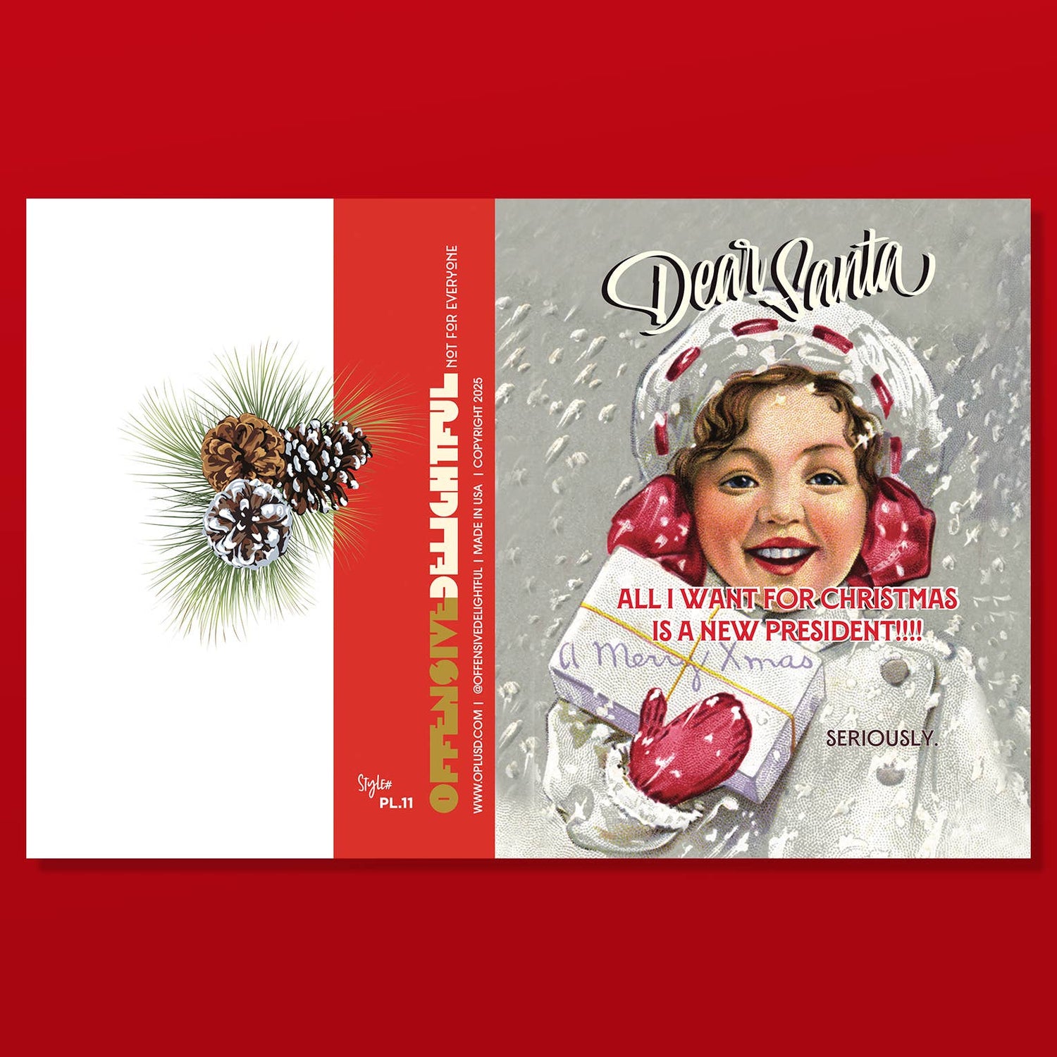 Dear Santa, All I Want for Christmas is a New President! Greeting Card