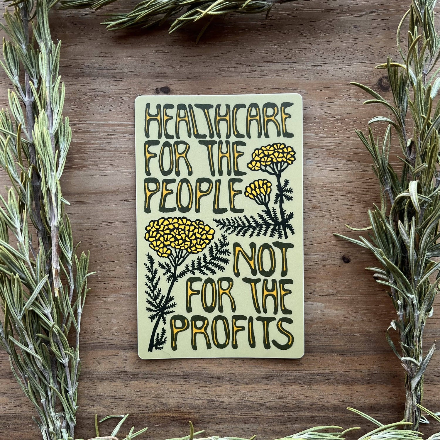 Healthcare for the People not Profit Sticker