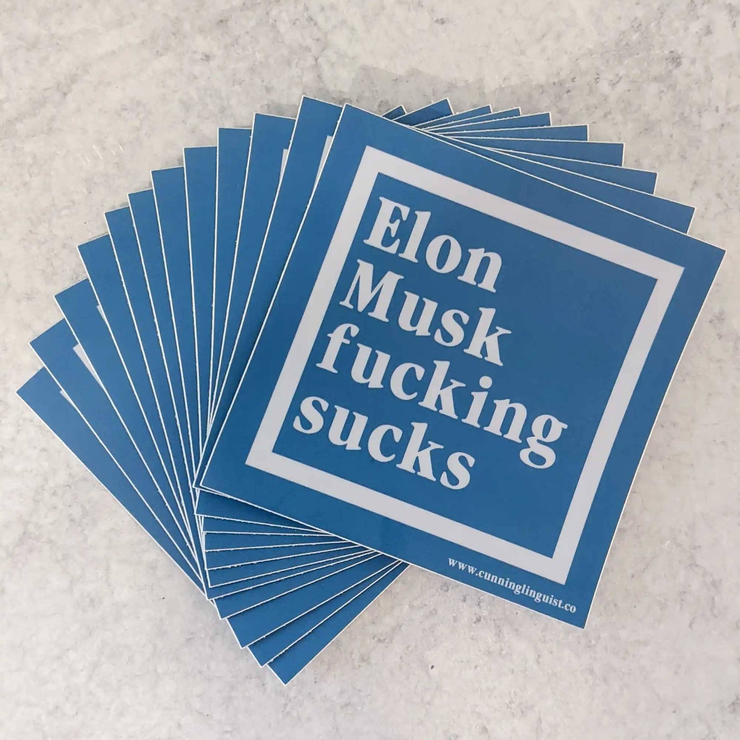 Elon Musk F*cking Sucks Sticker