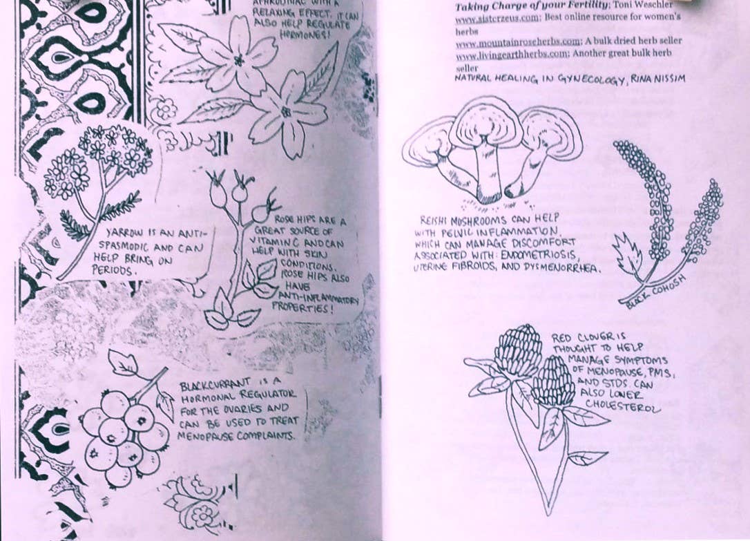 Wildseed Feminism Zine #2: Herbal Remedies Reproductive Care