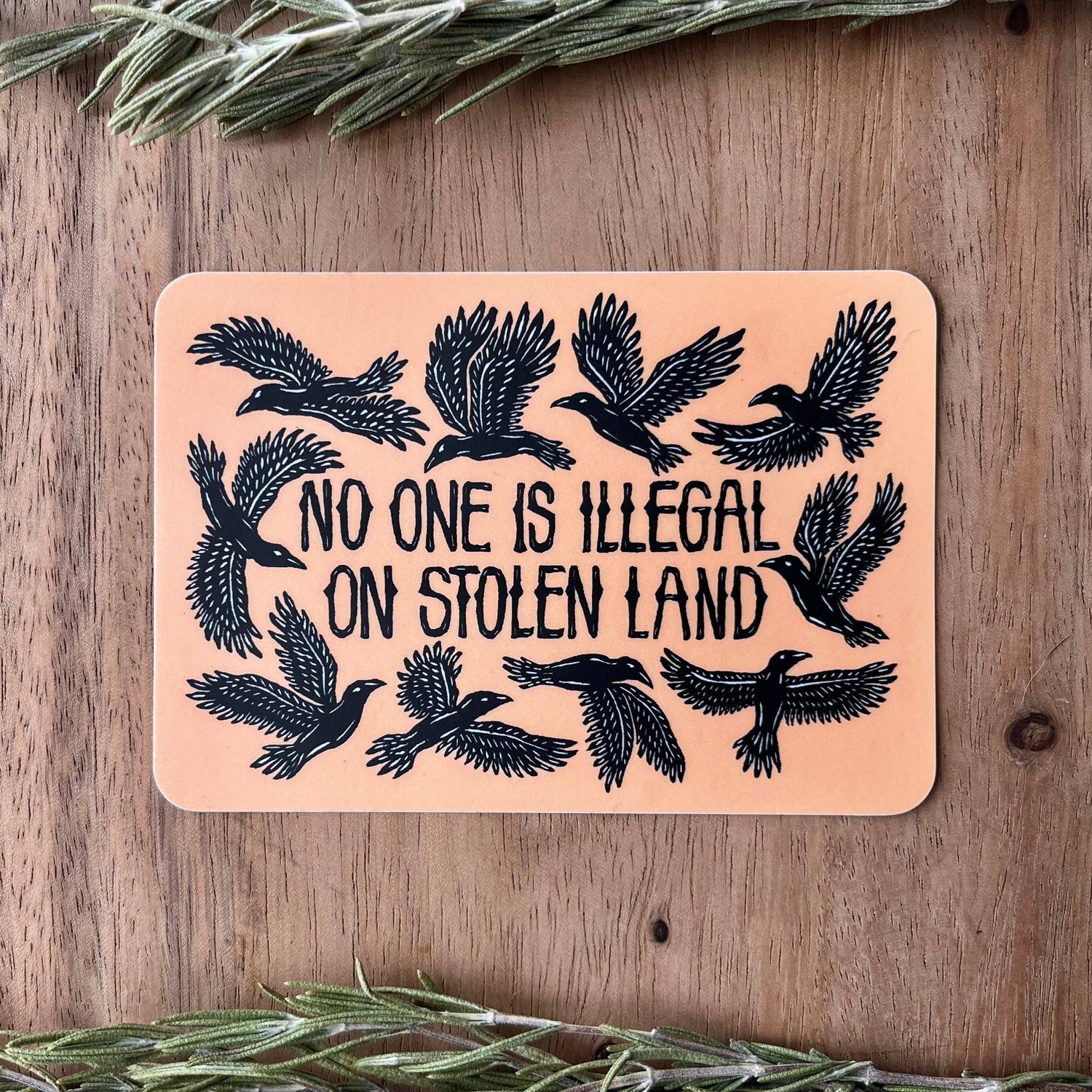 No One Is Illegal On Stolen Land Sticker