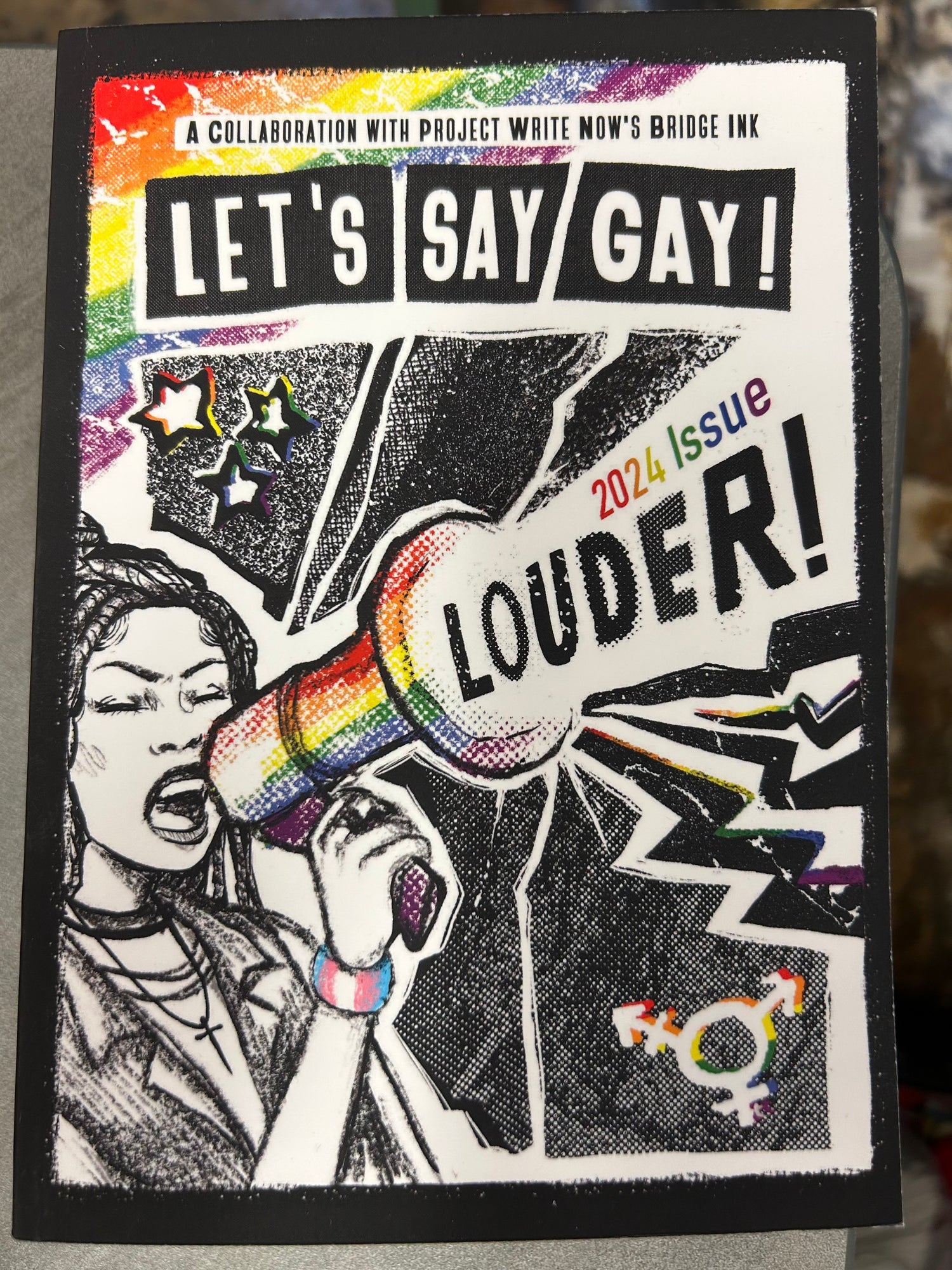 Let's Say Gay! A Collaboration with Project Write Now's Bridge Ink: Vol 2